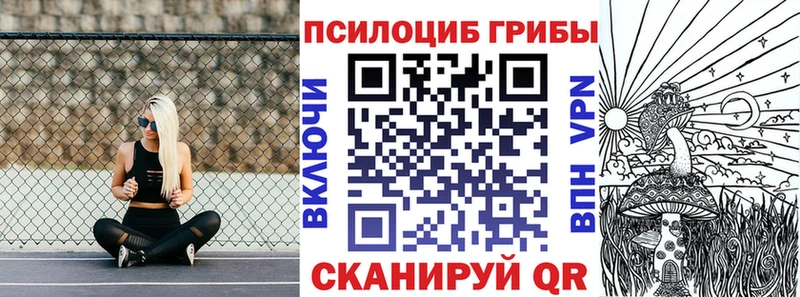 Купить закладки  Южа  Псилоцибиновые грибы ЛСД 